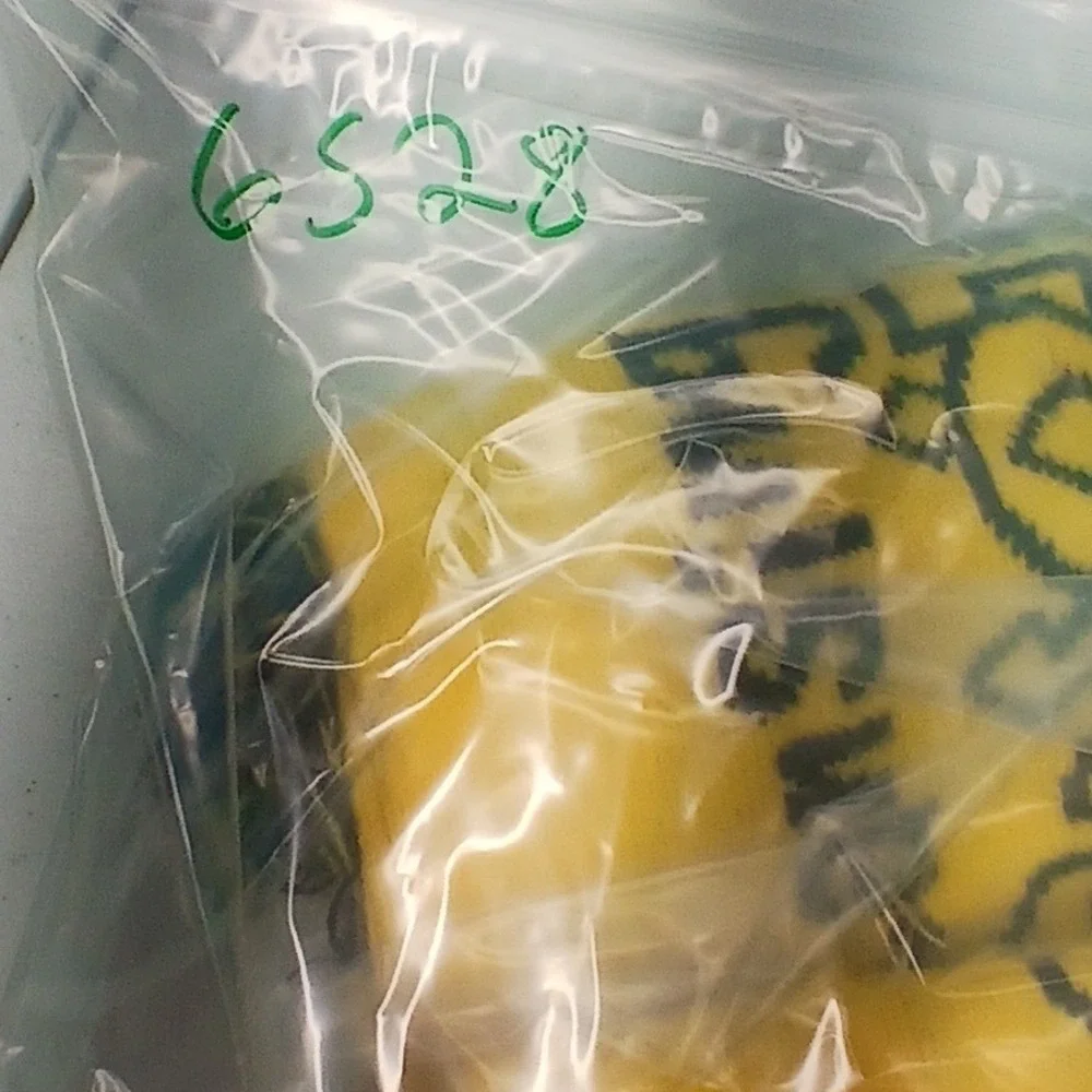 Lansing Lugnuts‎ Scarf Yellow Black Stripes Logo Fringe Knit Fan Gear